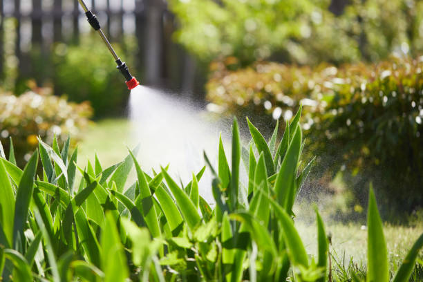 24/7 Emergency Wasp Removal experts in Hawaiian Paradise Park, HI